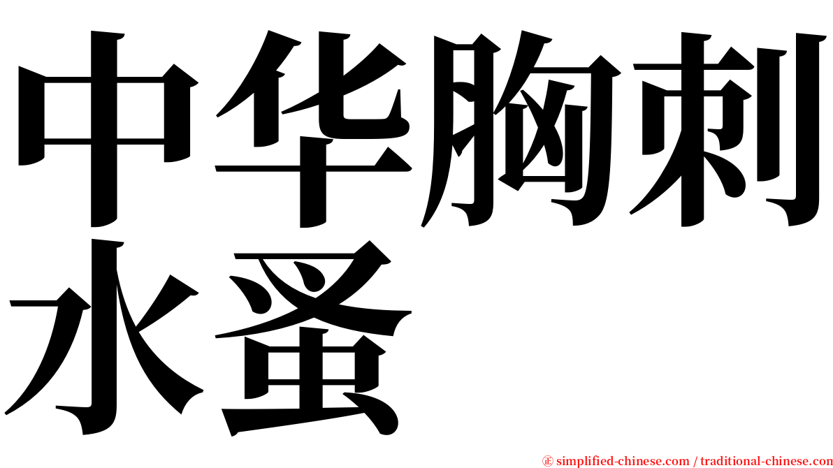 中华胸刺水蚤 serif font