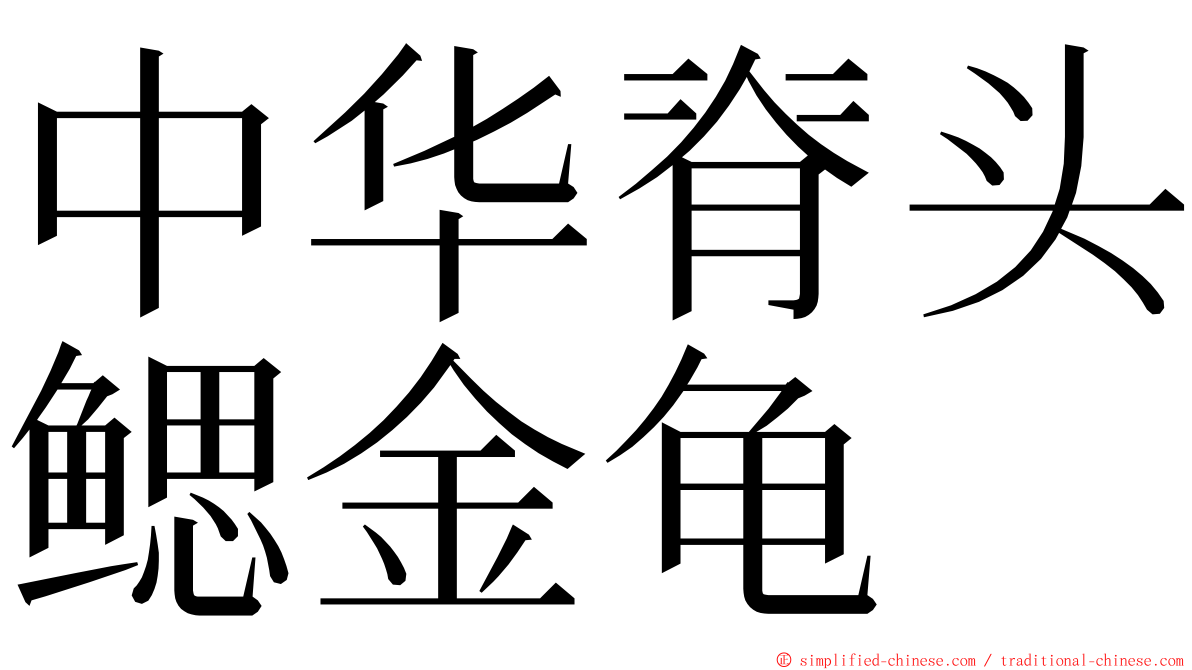 中华脊头鳃金龟 ming font