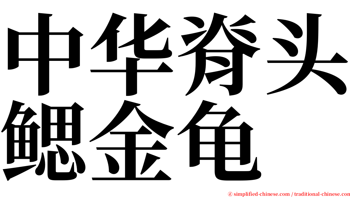 中华脊头鳃金龟 serif font