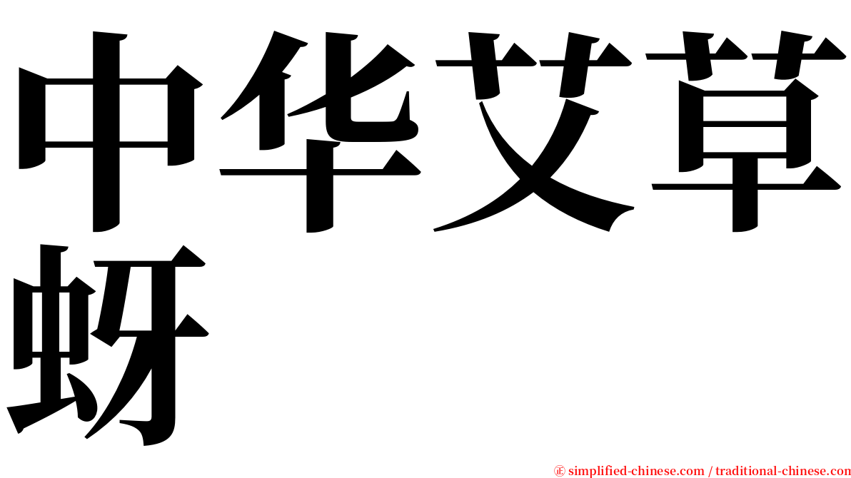 中华艾草蚜 serif font