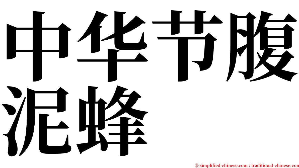 中华节腹泥蜂 serif font