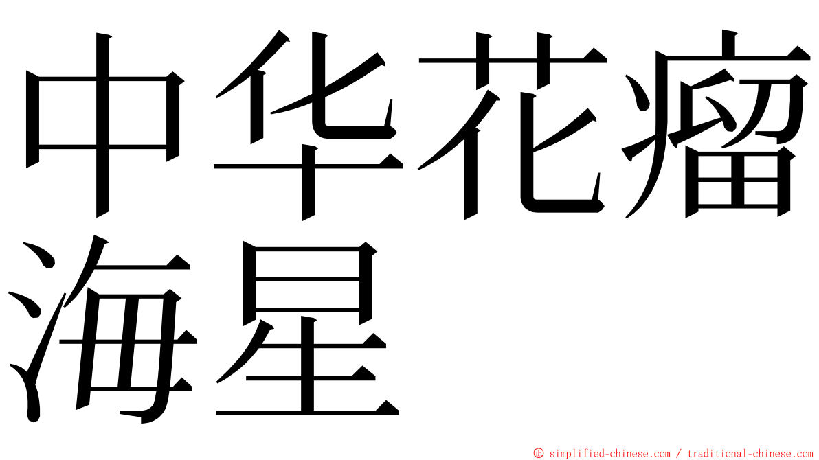 中华花瘤海星 ming font