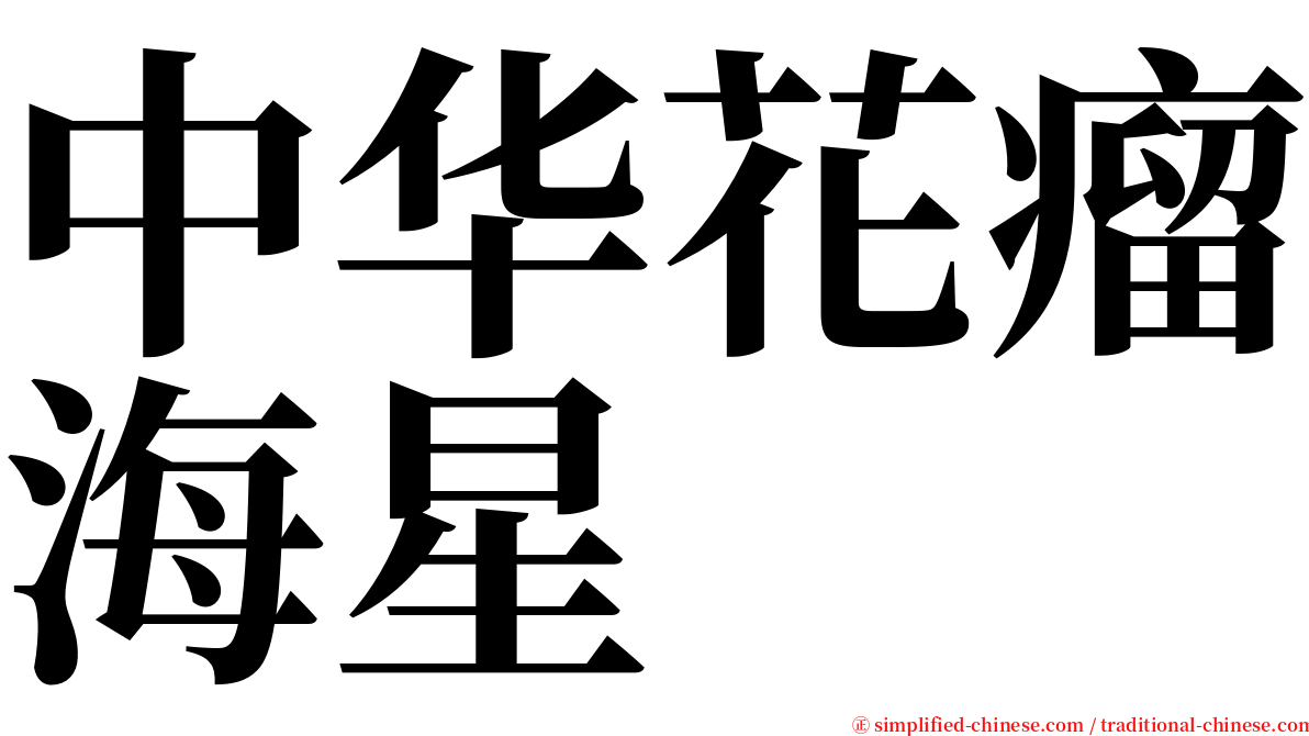 中华花瘤海星 serif font