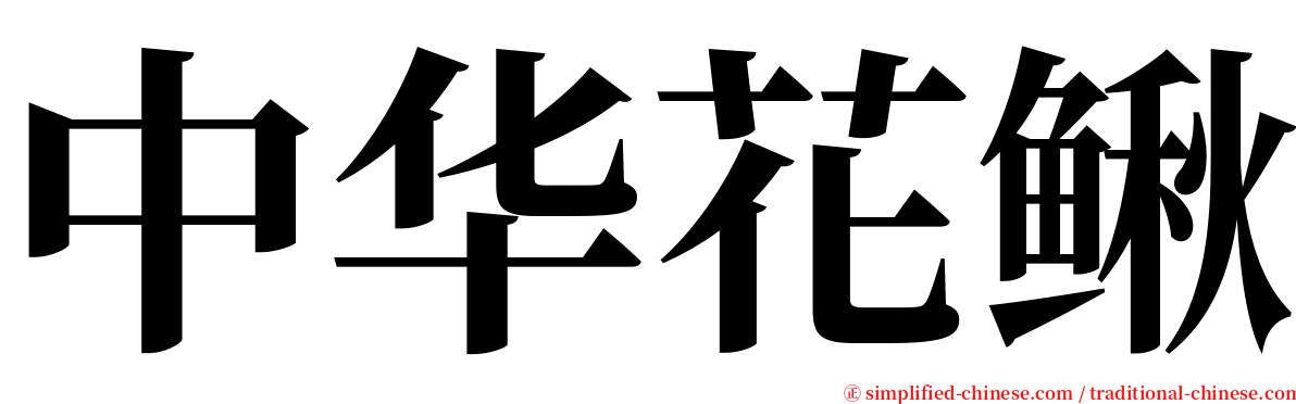 中华花鳅 serif font