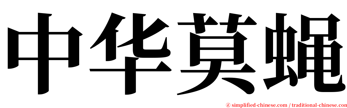 中华莫蝇 serif font