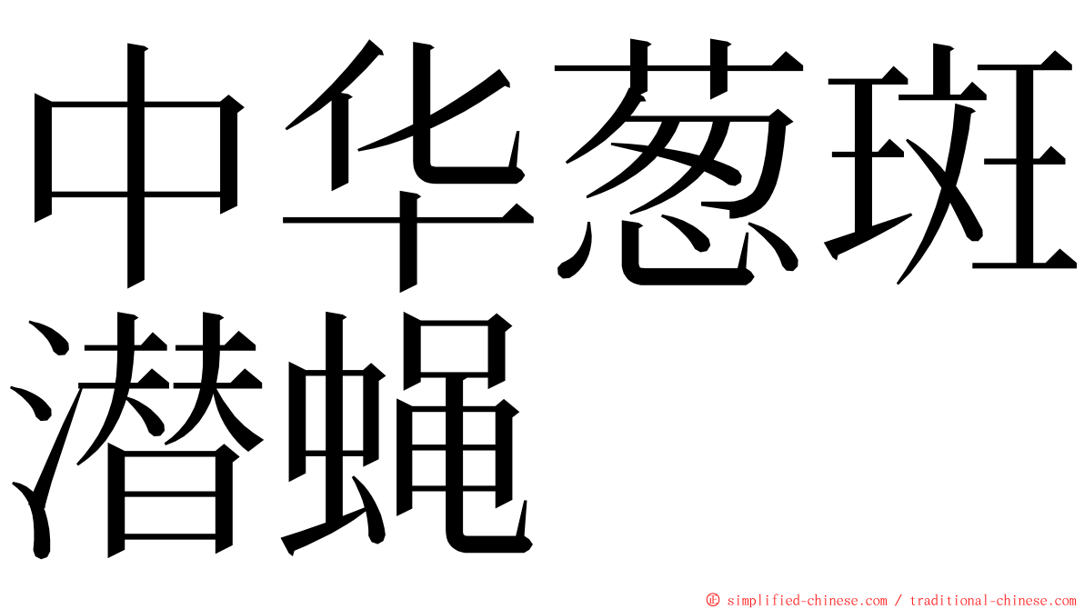 中华葱斑潜蝇 ming font