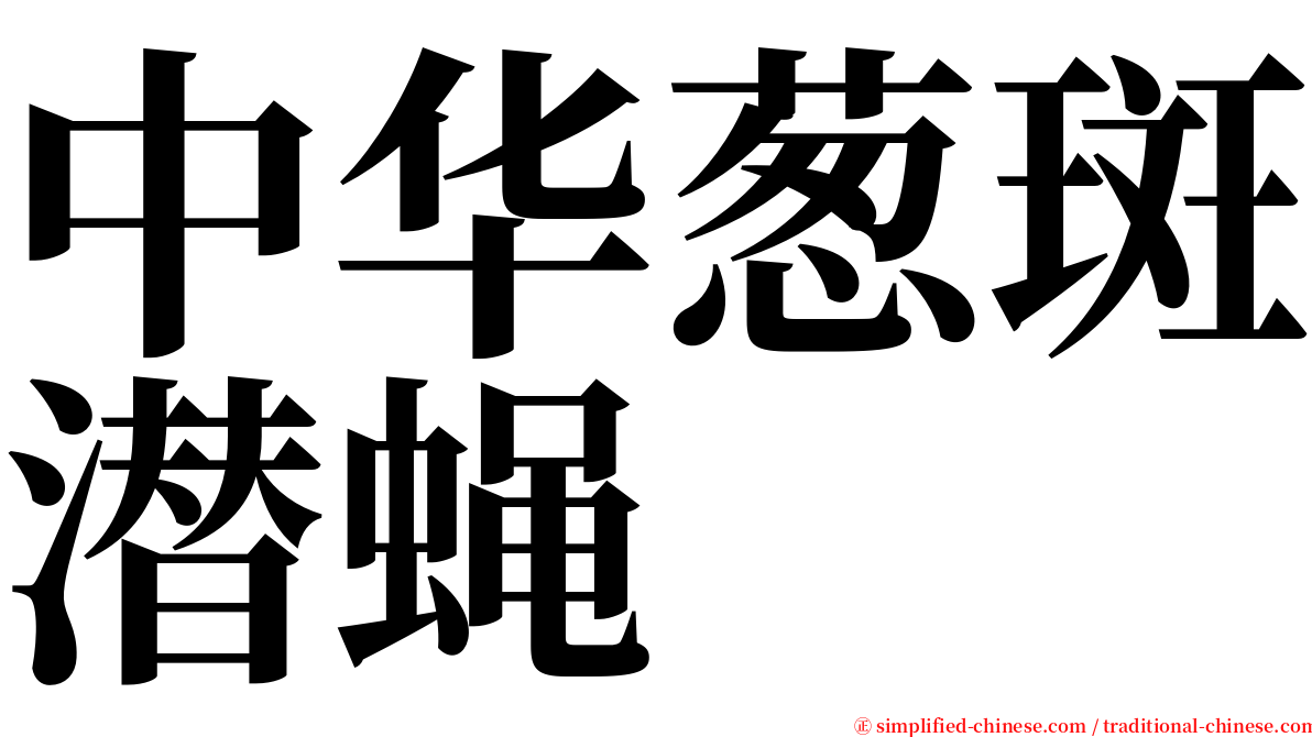 中华葱斑潜蝇 serif font