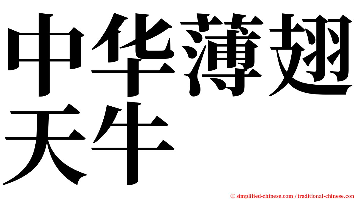 中华薄翅天牛 serif font