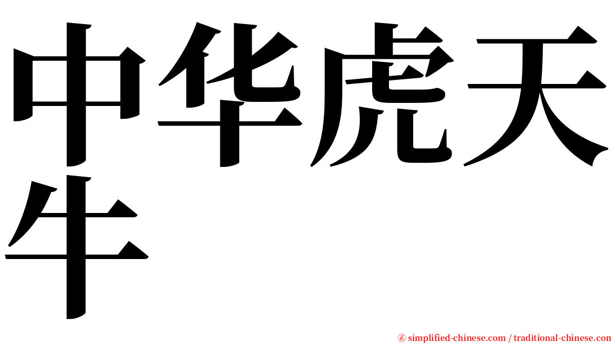 中华虎天牛 serif font