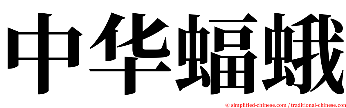 中华蝠蛾 serif font