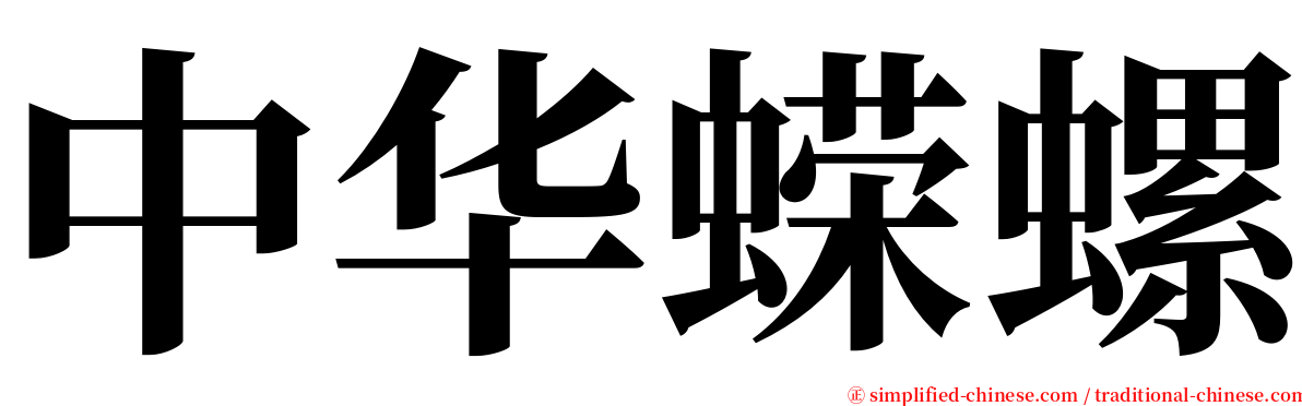 中华蝾螺 serif font