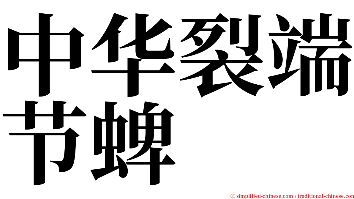 中华裂端节蜱 serif font