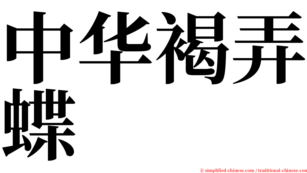 中华褐弄蝶 serif font