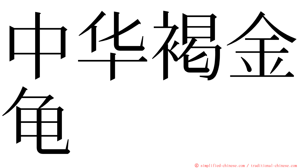 中华褐金龟 ming font