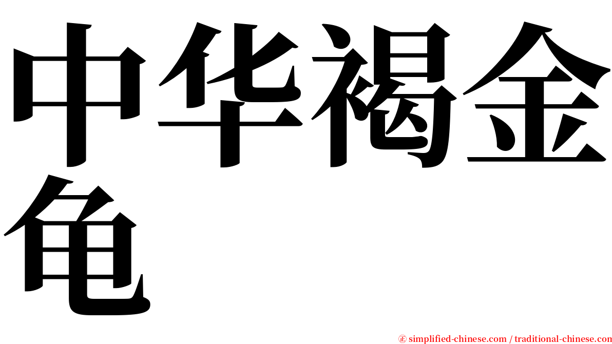 中华褐金龟 serif font