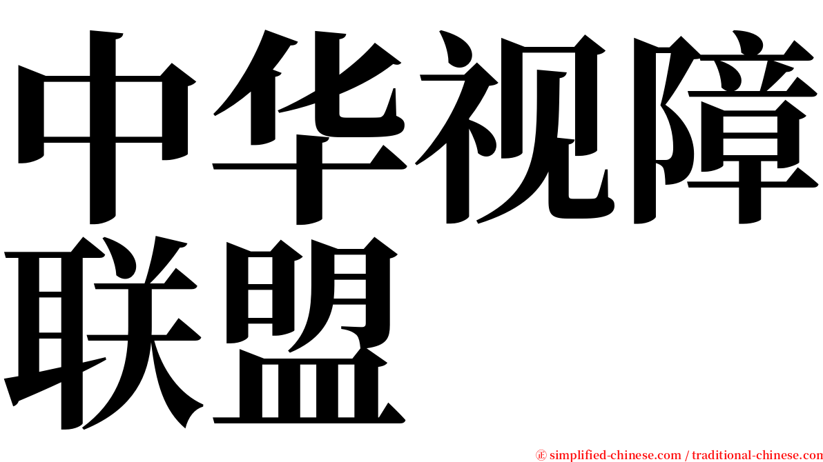 中华视障联盟 serif font