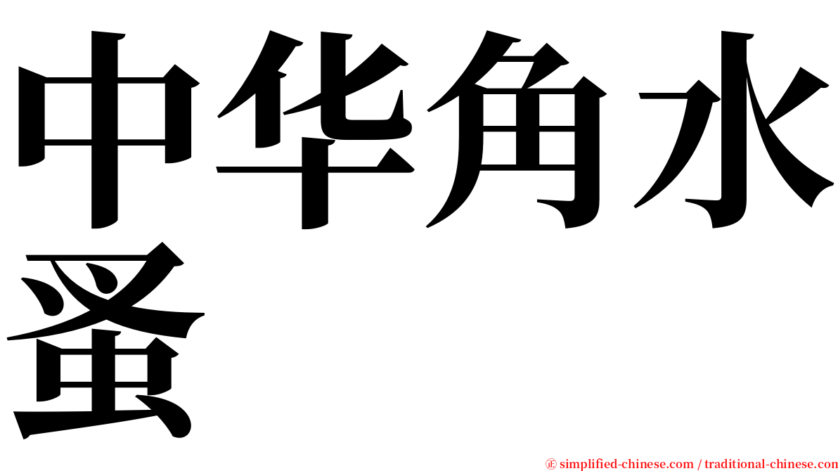 中华角水蚤 serif font