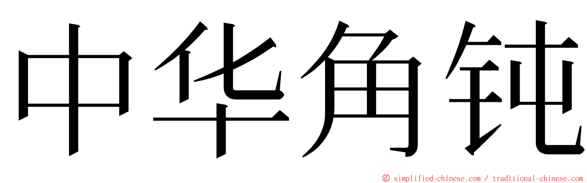 中华角钝 ming font