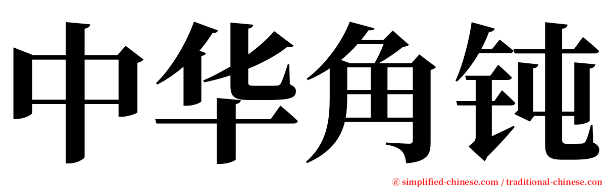 中华角钝 serif font