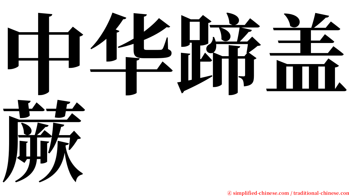 中华蹄盖蕨 serif font