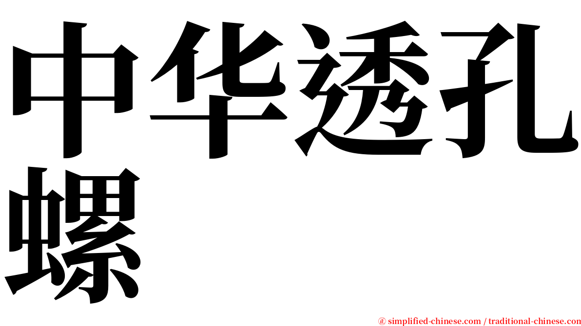 中华透孔螺 serif font