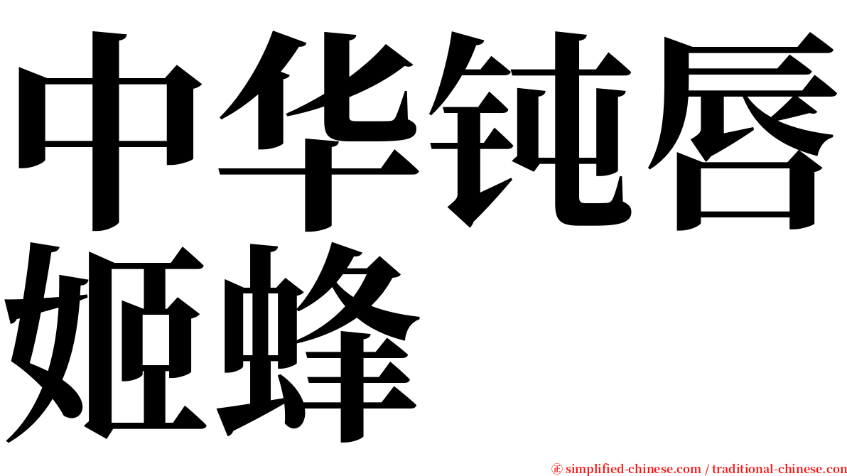 中华钝唇姬蜂 serif font