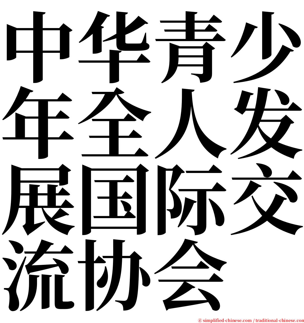 中华青少年全人发展国际交流协会 serif font