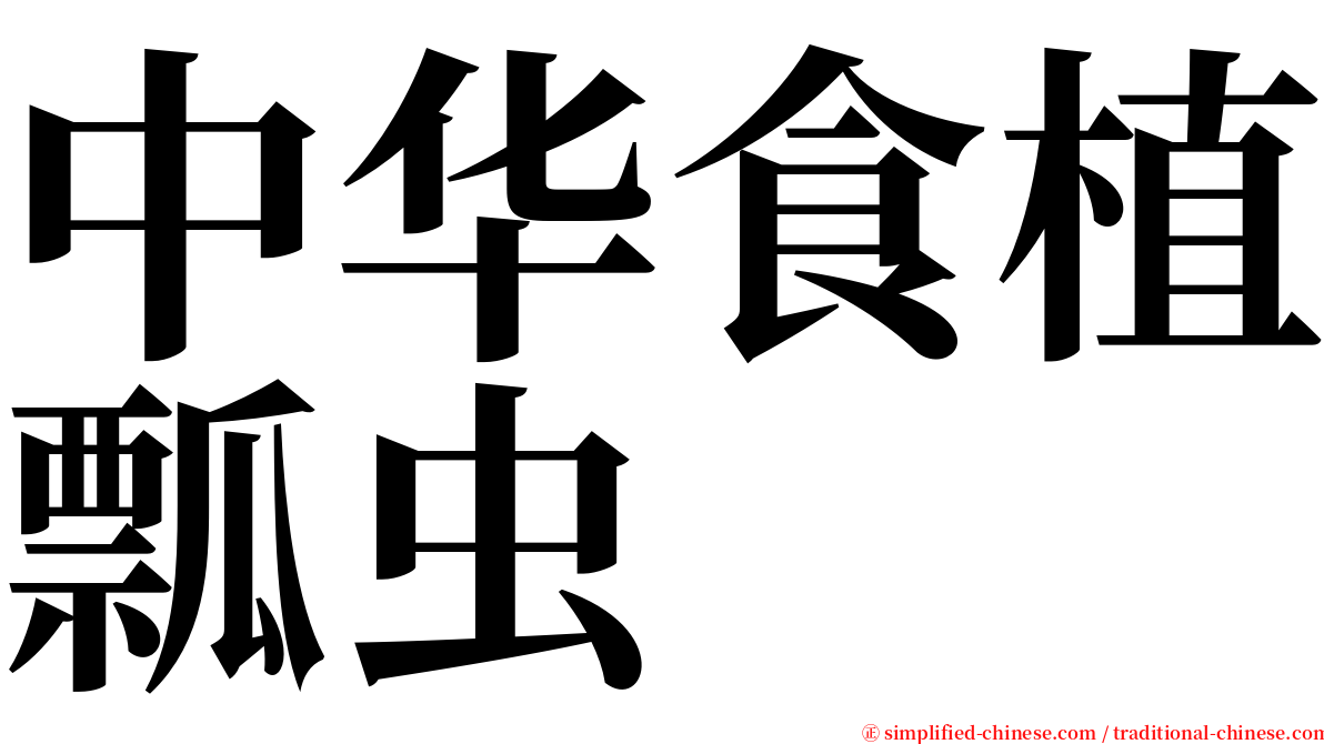 中华食植瓢虫 serif font