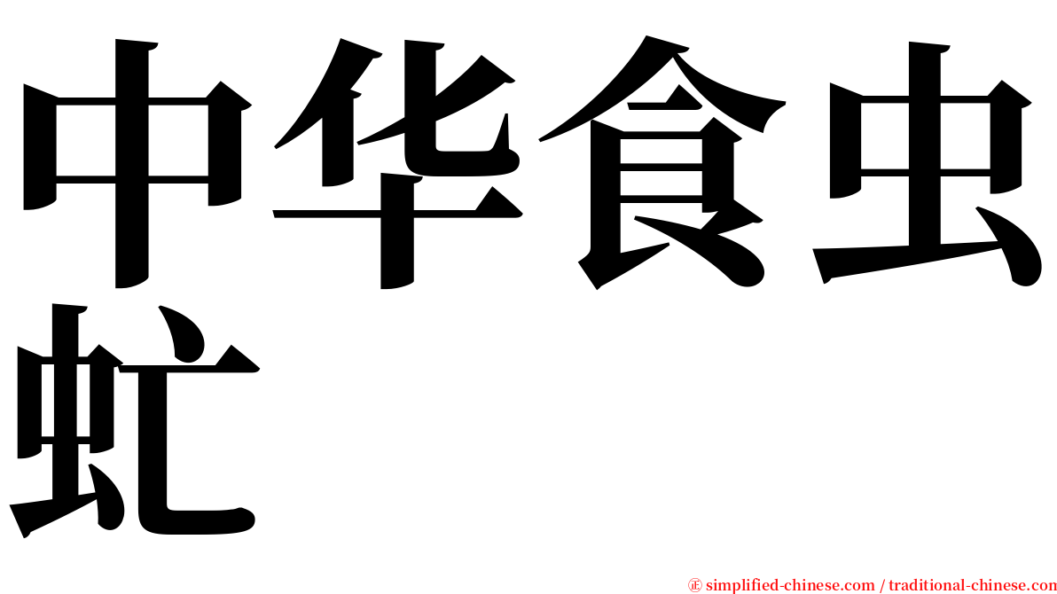 中华食虫虻 serif font