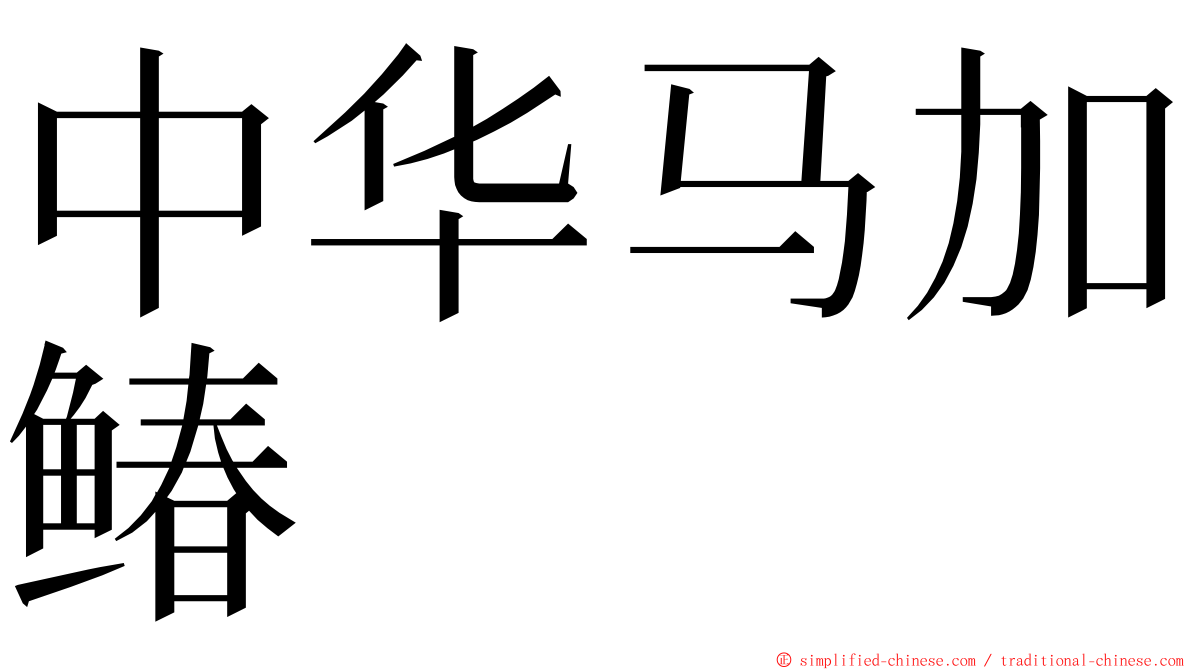中华马加䲠 ming font