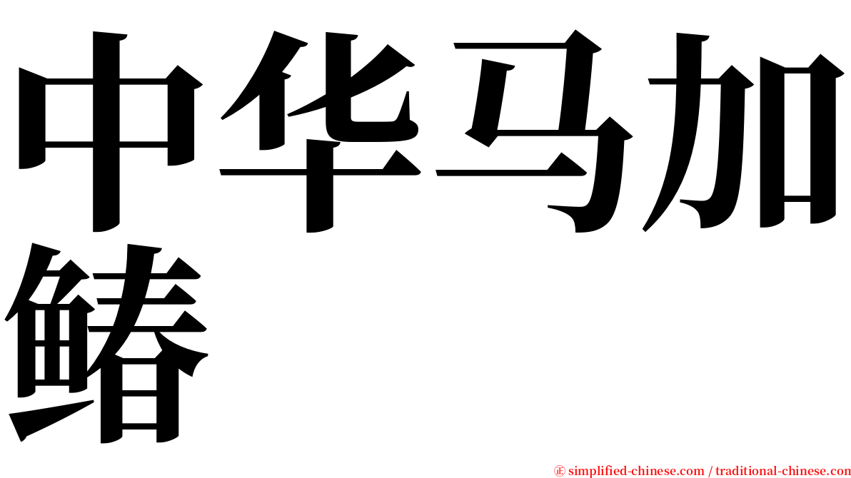 中华马加䲠 serif font