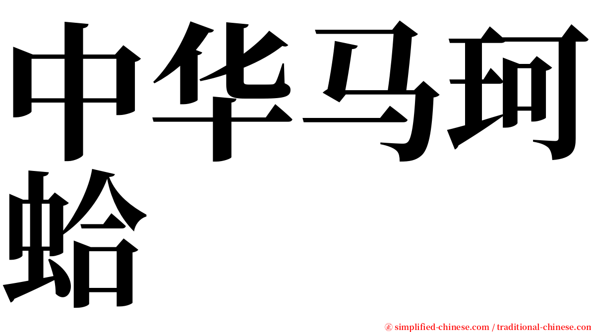 中华马珂蛤 serif font