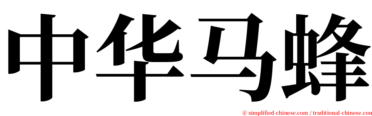 中华马蜂 serif font