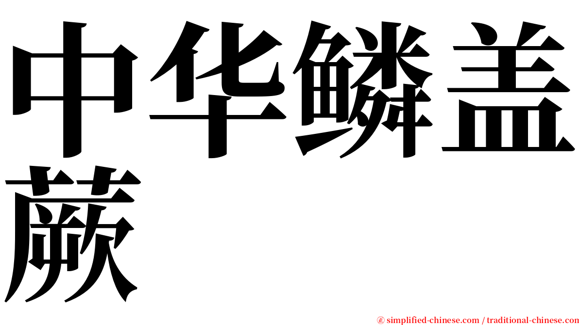 中华鳞盖蕨 serif font