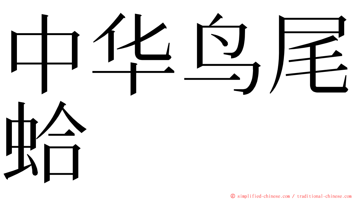 中华鸟尾蛤 ming font