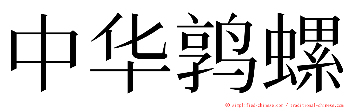 中华鹑螺 ming font