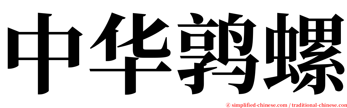 中华鹑螺 serif font