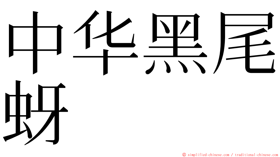 中华黑尾蚜 ming font