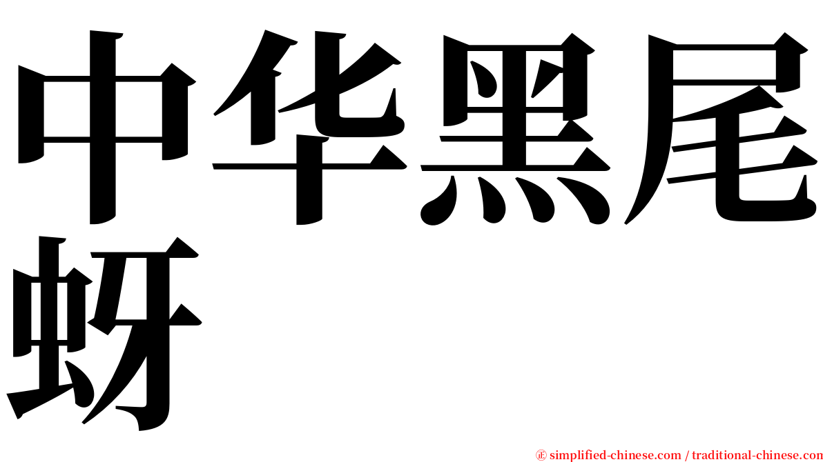 中华黑尾蚜 serif font