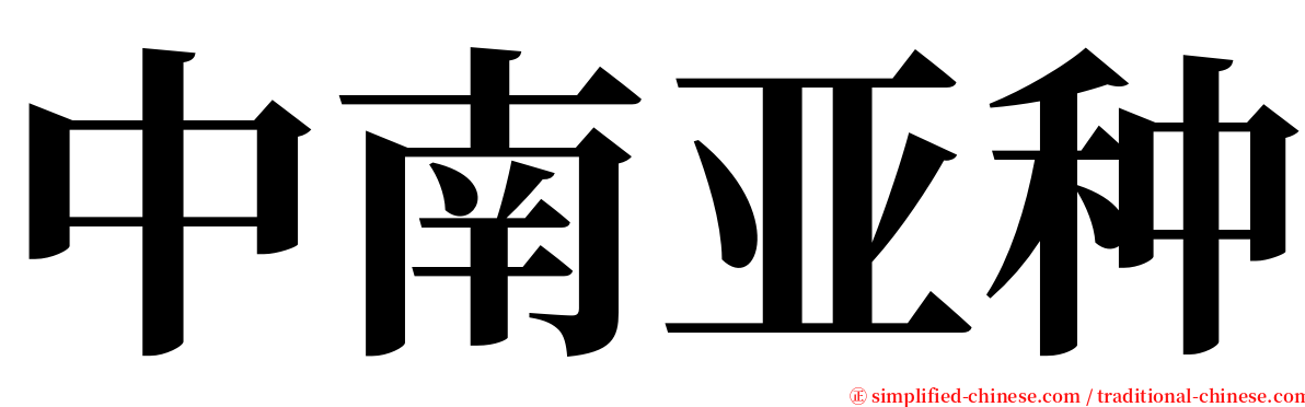 中南亚种 serif font