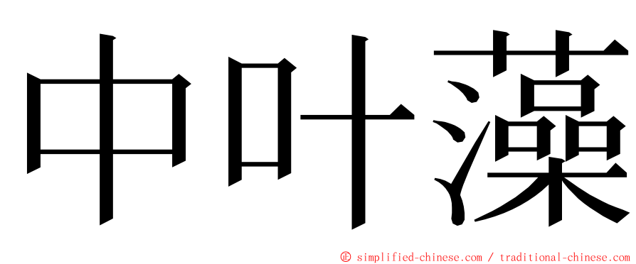 中叶藻 ming font