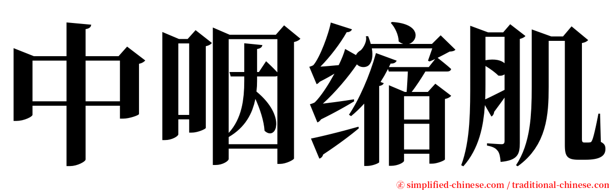 中咽缩肌 serif font