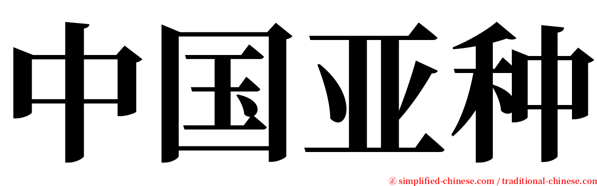 中国亚种 serif font