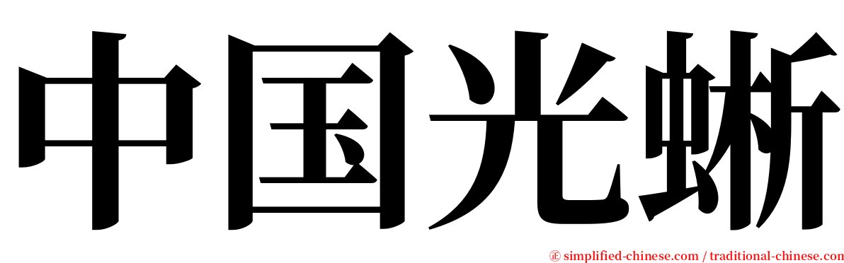 中国光蜥 serif font