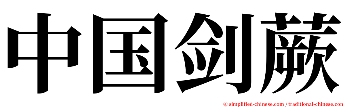 中国剑蕨 serif font