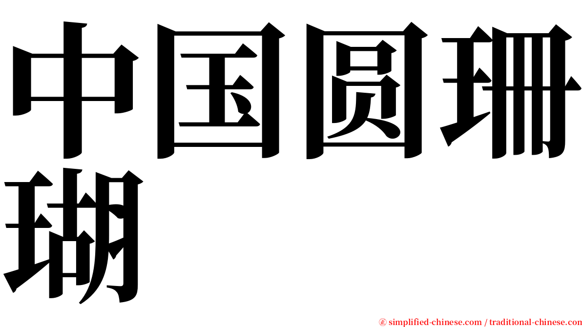 中国圆珊瑚 serif font
