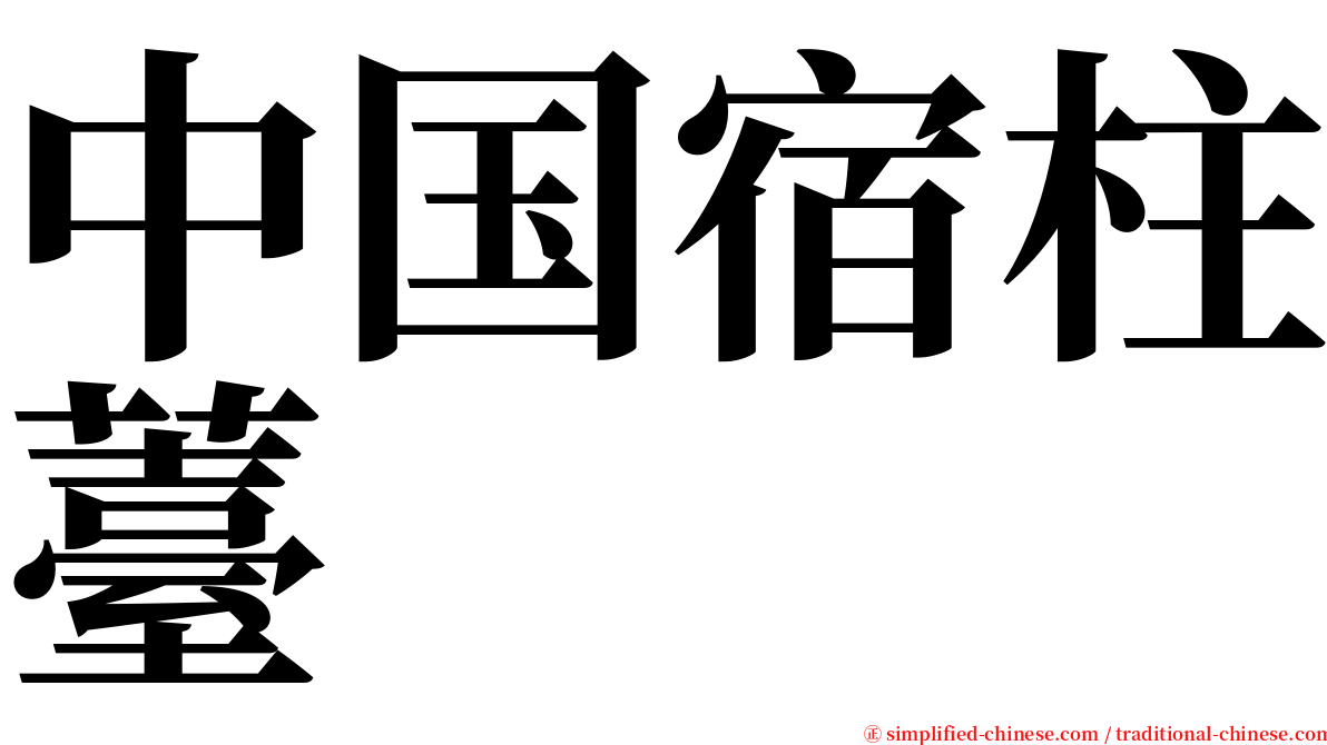 中国宿柱薹 serif font