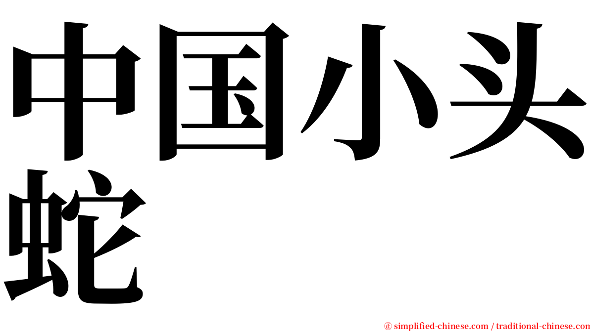 中国小头蛇 serif font