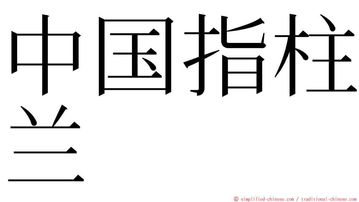 中国指柱兰 ming font