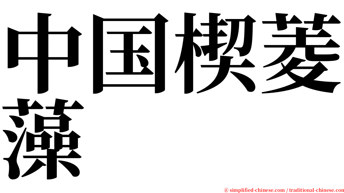 中国楔菱藻 serif font